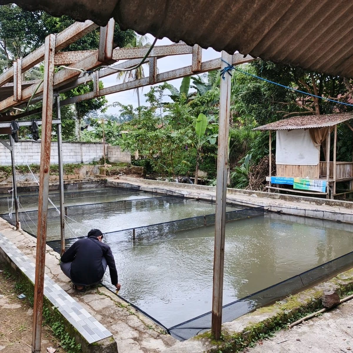 Kolam lele Pamijahan