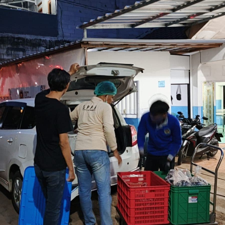 Distribusi hasil panen Amerta Fishery