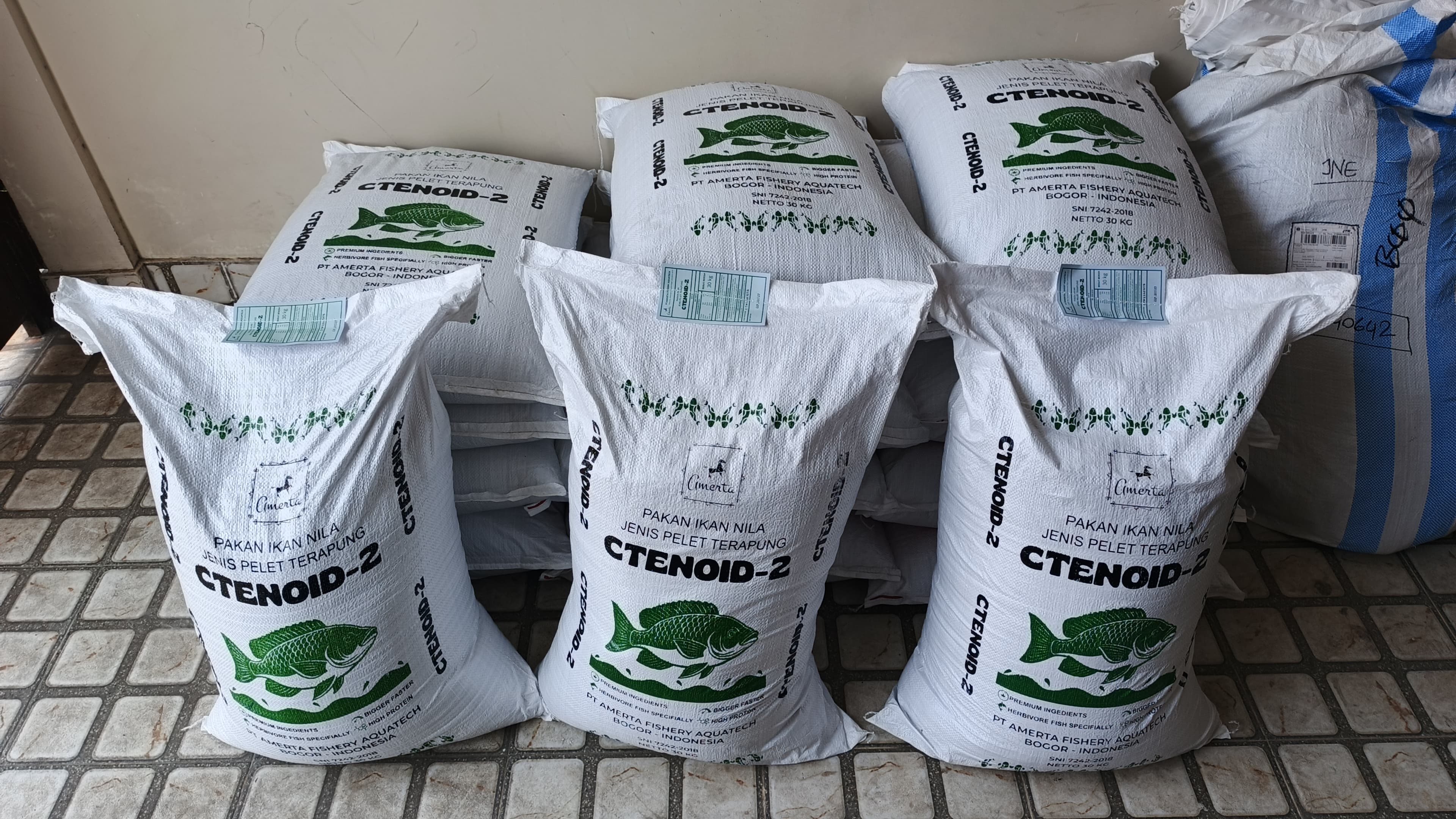 Pakan CTENOID Amerta Fishery