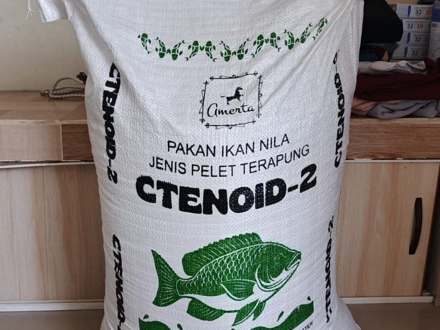 CTENOID dari Amerta Fishery